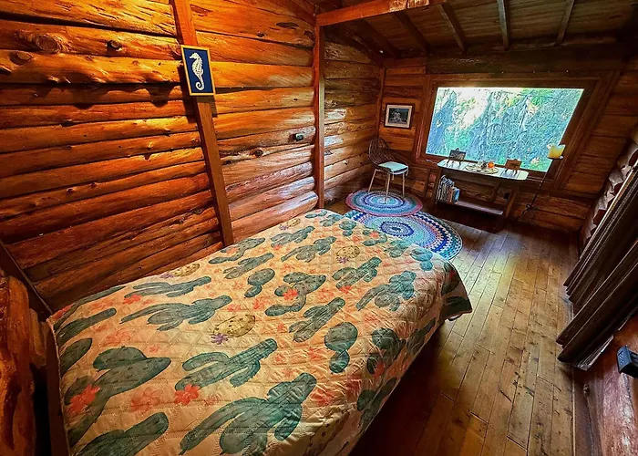 Beehouse Mandala